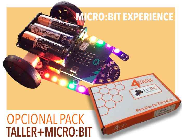 microbit experience